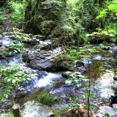 Fereinwohnung Tannenblick Mit 2 Balkonen Und Hallenbad - Mein Schwarzwaldhaeusle *