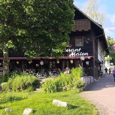 Fereinwohnung Tannenblick Mit 2 Balkonen Und Hallenbad - Mein Schwarzwaldhaeusle Appartement