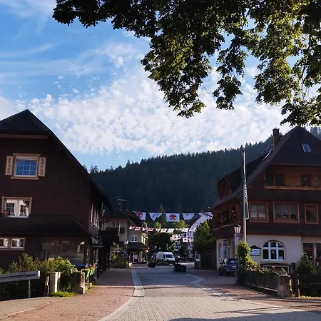 Fereinwohnung Tannenblick Mit 2 Balkonen Und Hallenbad - Mein Schwarzwaldhaeusle Todtmoos