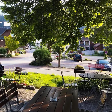 Appartement Fereinwohnung Tannenblick Mit 2 Balkonen Und Hallenbad - Mein Schwarzwaldhaeusle Todtmoos