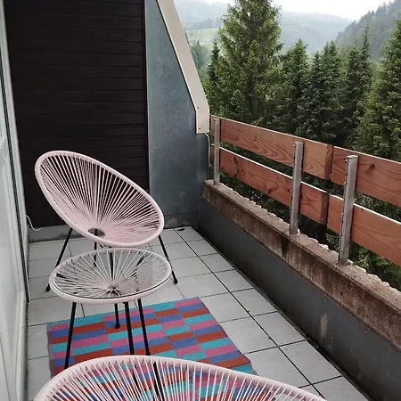 Fereinwohnung Tannenblick Mit 2 Balkonen Und Hallenbad - Mein Schwarzwaldhaeusle شقة تودموس