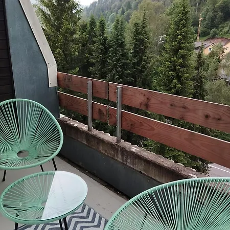 Fereinwohnung Tannenblick Mit 2 Balkonen Und Hallenbad - Mein Schwarzwaldhaeusle *