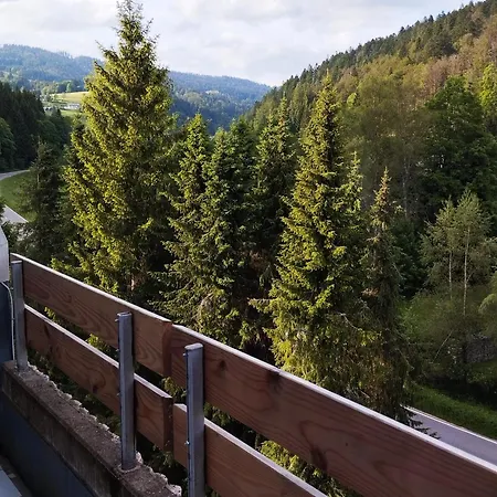 Fereinwohnung Tannenblick Mit 2 Balkonen Und Hallenbad - Mein Schwarzwaldhaeusle Todtmoos